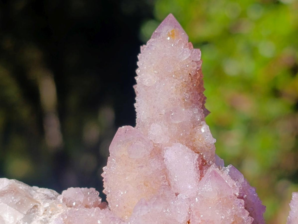 Natural Spirit Ametrine Clusters x 4 From Boekenhouthoek, South Africa - Toprock Gemstones and Minerals 