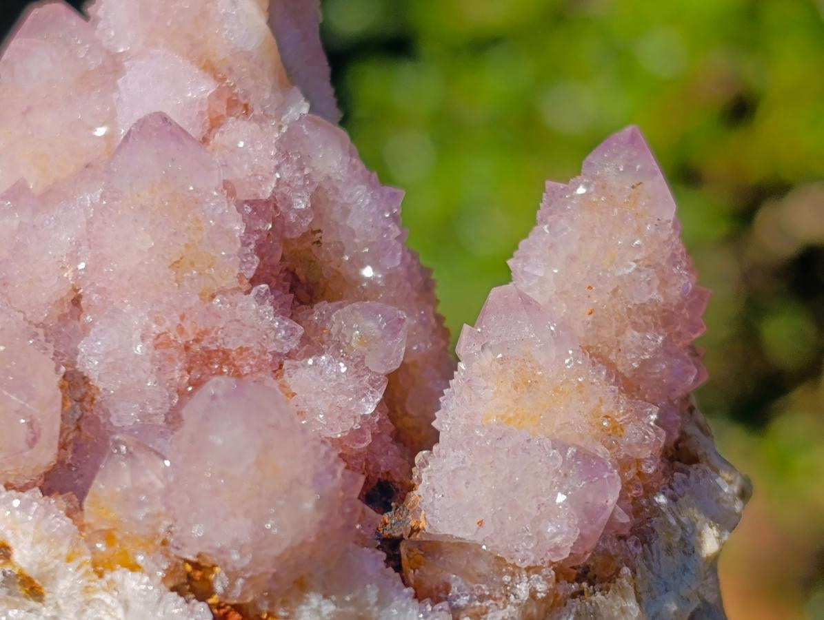 Natural Spirit Ametrine Clusters x 4 From Boekenhouthoek, South Africa - Toprock Gemstones and Minerals 