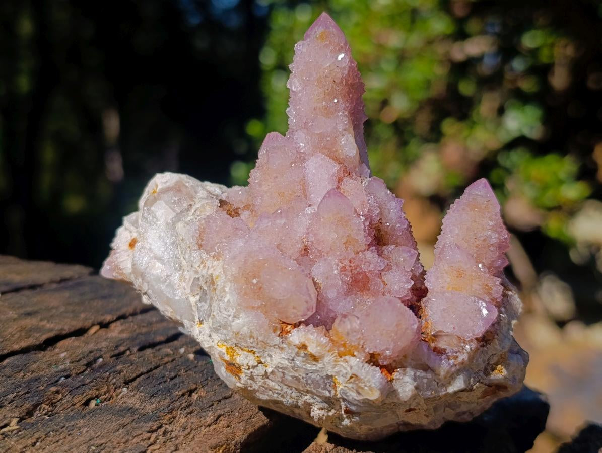 Natural Spirit Ametrine Clusters x 4 From Boekenhouthoek, South Africa - Toprock Gemstones and Minerals 