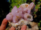 Natural Spirit Ametrine Clusters x 4 From Boekenhouthoek, South Africa - Toprock Gemstones and Minerals 
