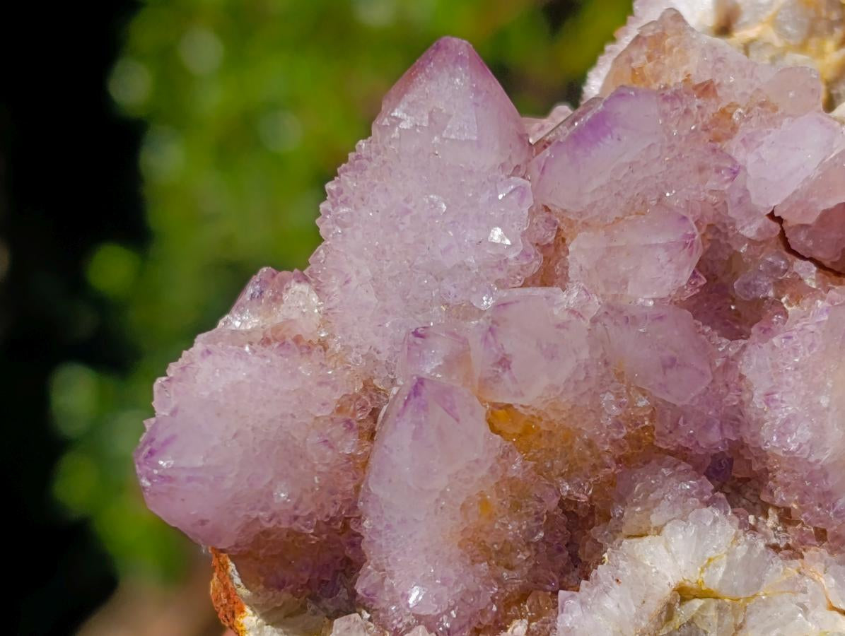 Natural Spirit Ametrine Clusters x 4 From Boekenhouthoek, South Africa - Toprock Gemstones and Minerals 