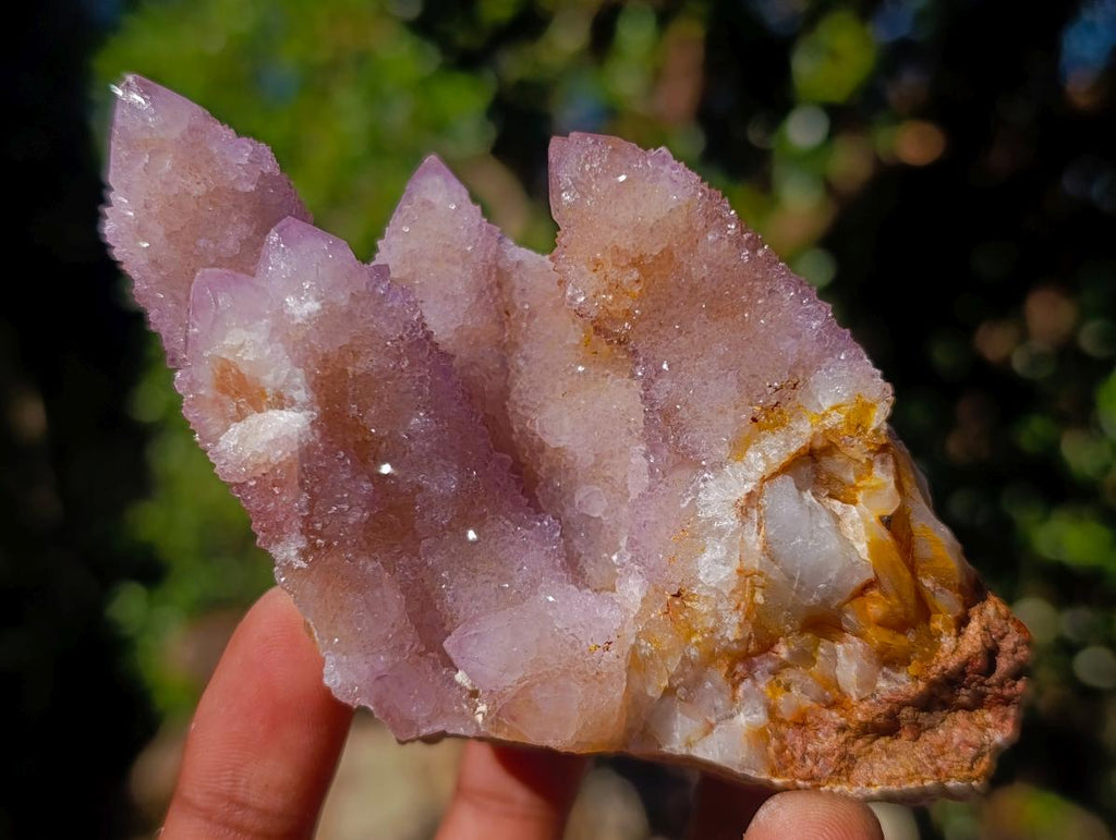 Natural Spirit Ametrine Clusters x 4 From Boekenhouthoek, South Africa - Toprock Gemstones and Minerals 