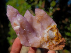 Natural Spirit Ametrine Clusters x 4 From Boekenhouthoek, South Africa - Toprock Gemstones and Minerals 