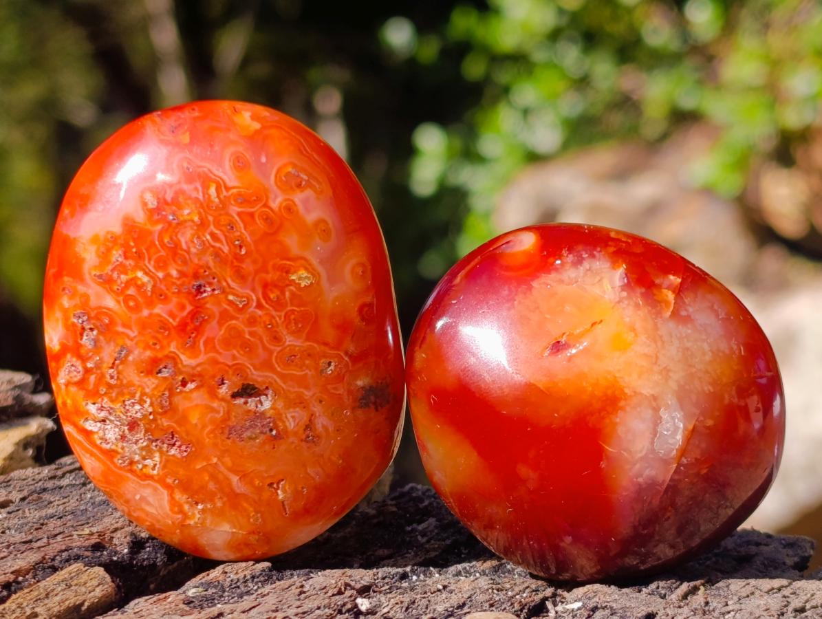 Polished Carnelian Agate Gemstone Galets x 20 From Madagascar - Toprock Gemstones and Minerals 