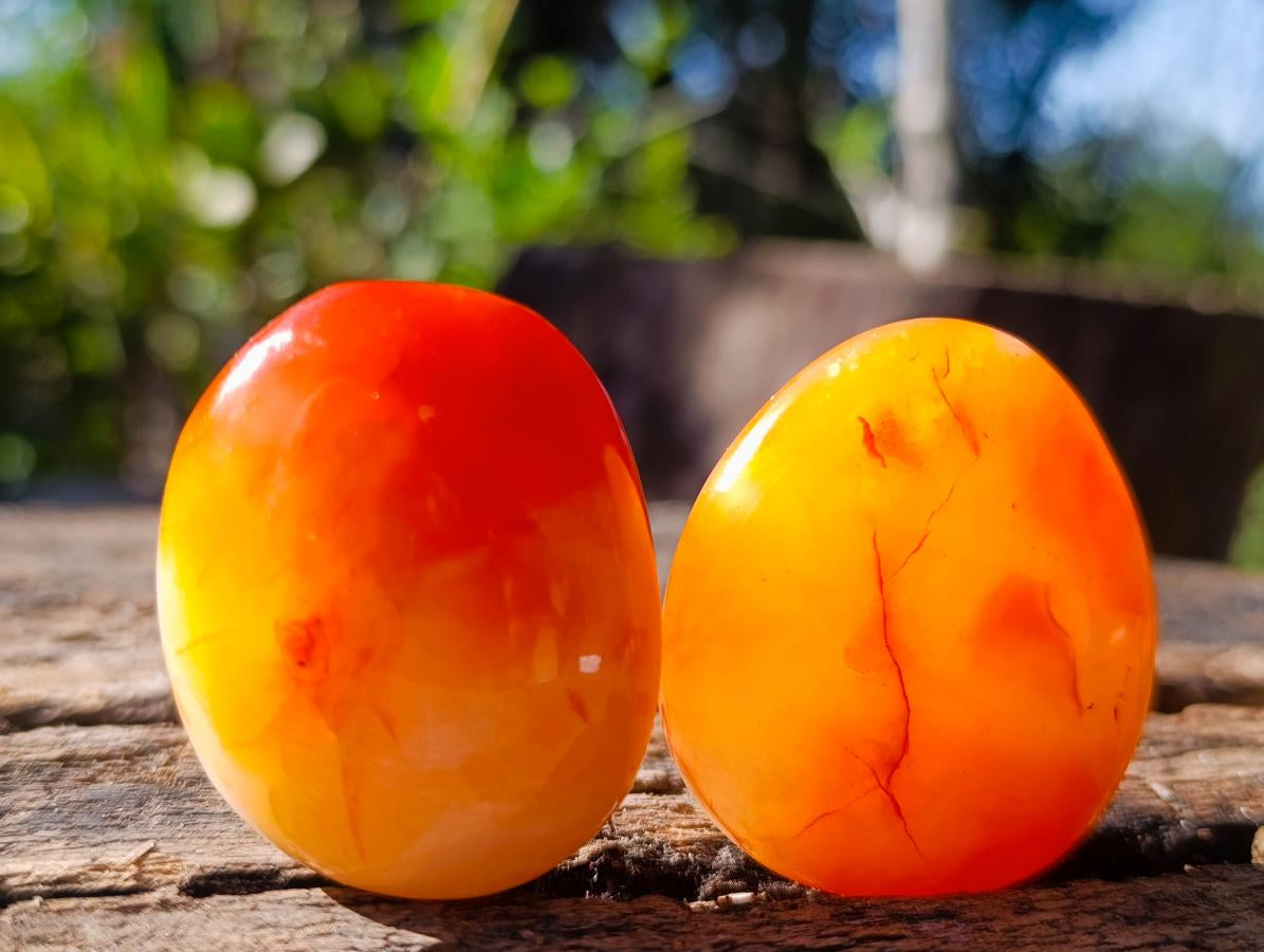 Polished Carnelian Agate Gemstone Galets x 20 From Madagascar - Toprock Gemstones and Minerals 