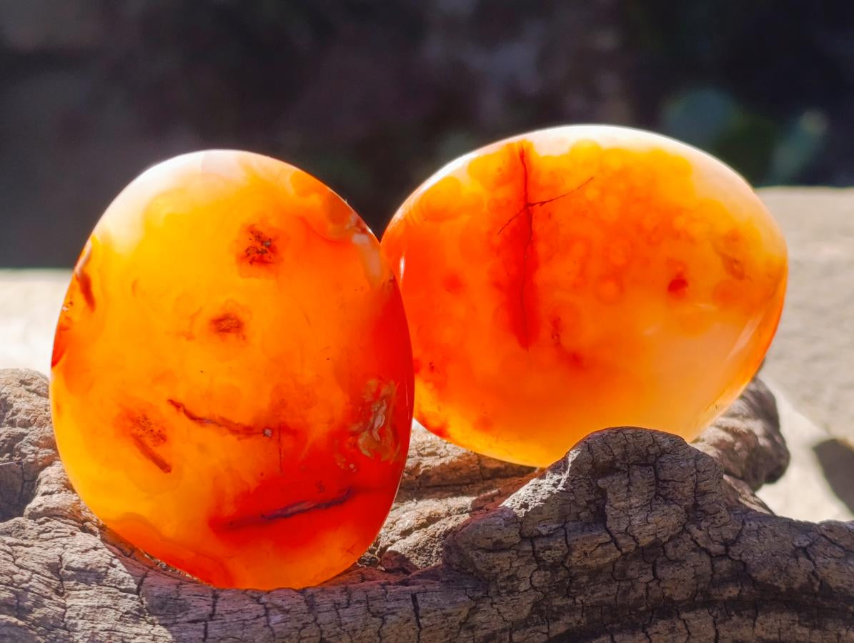 Polished Carnelian Agate Gemstone Galets x 20 From Madagascar - Toprock Gemstones and Minerals 