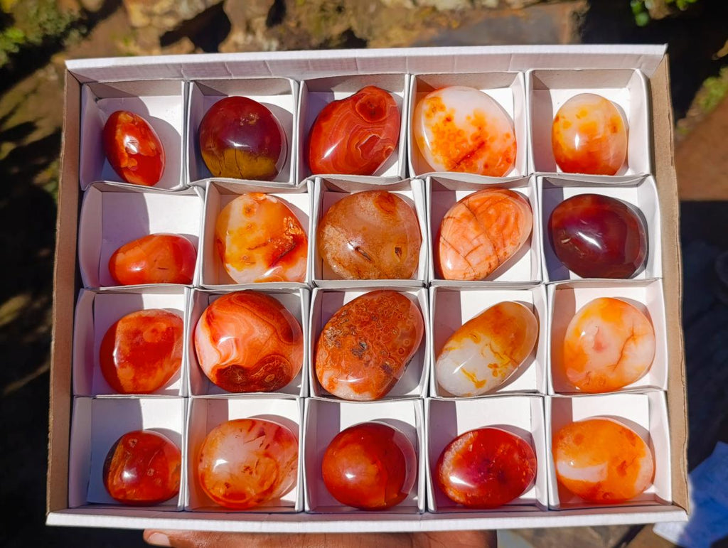 Polished Carnelian Agate Gemstone Galets x 20 From Madagascar - Toprock Gemstones and Minerals 