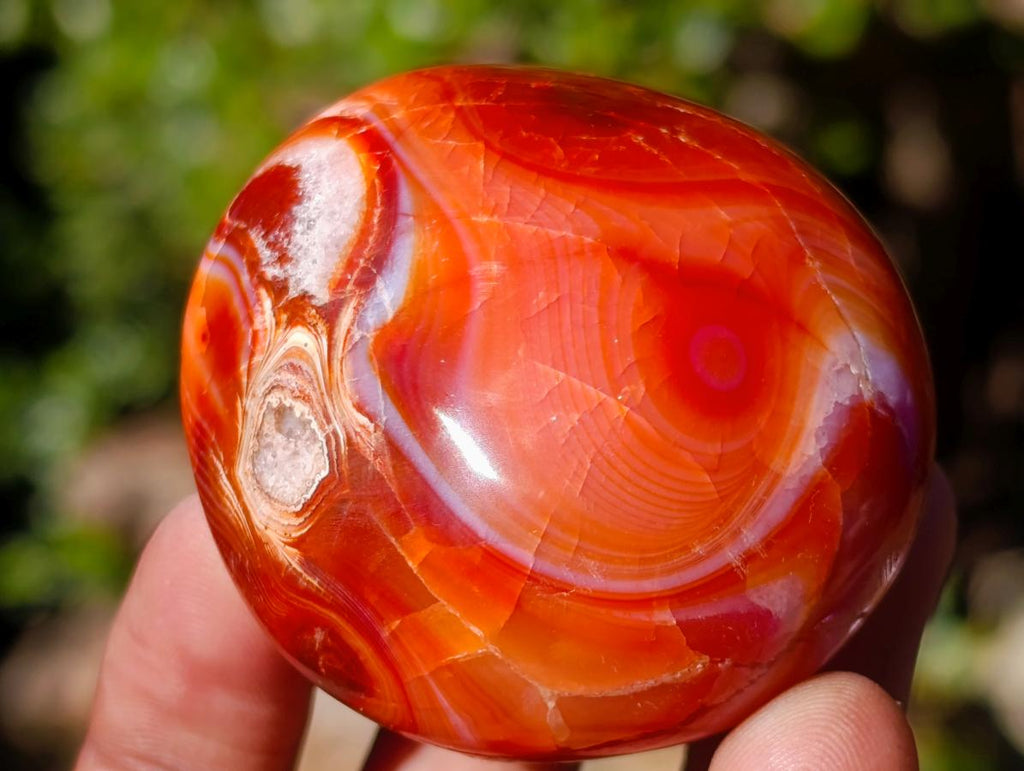 Polished Carnelian Agate Gemstone Galets x 20 From Madagascar - Toprock Gemstones and Minerals 