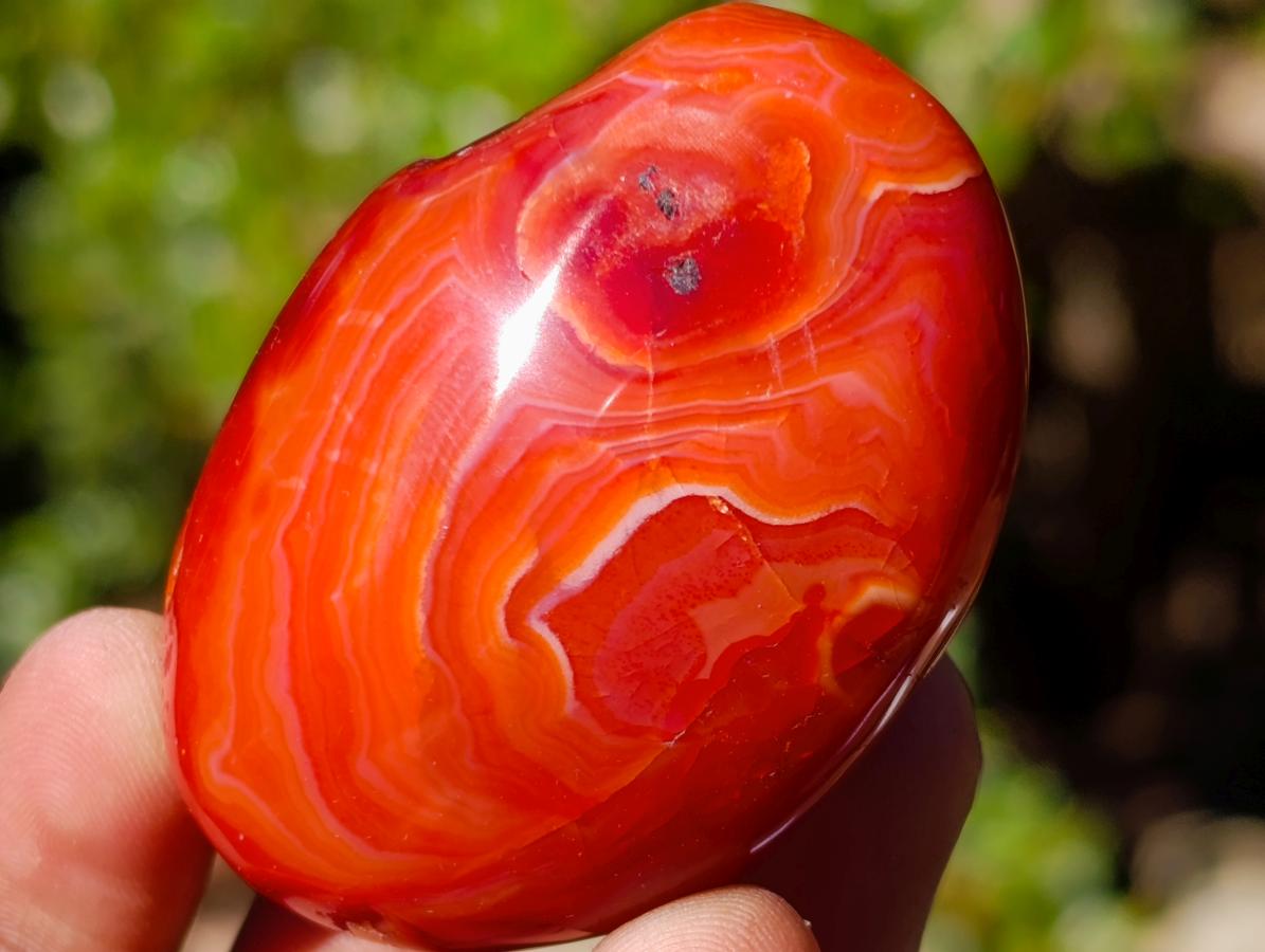 Polished Carnelian Agate Gemstone Galets x 20 From Madagascar - Toprock Gemstones and Minerals 
