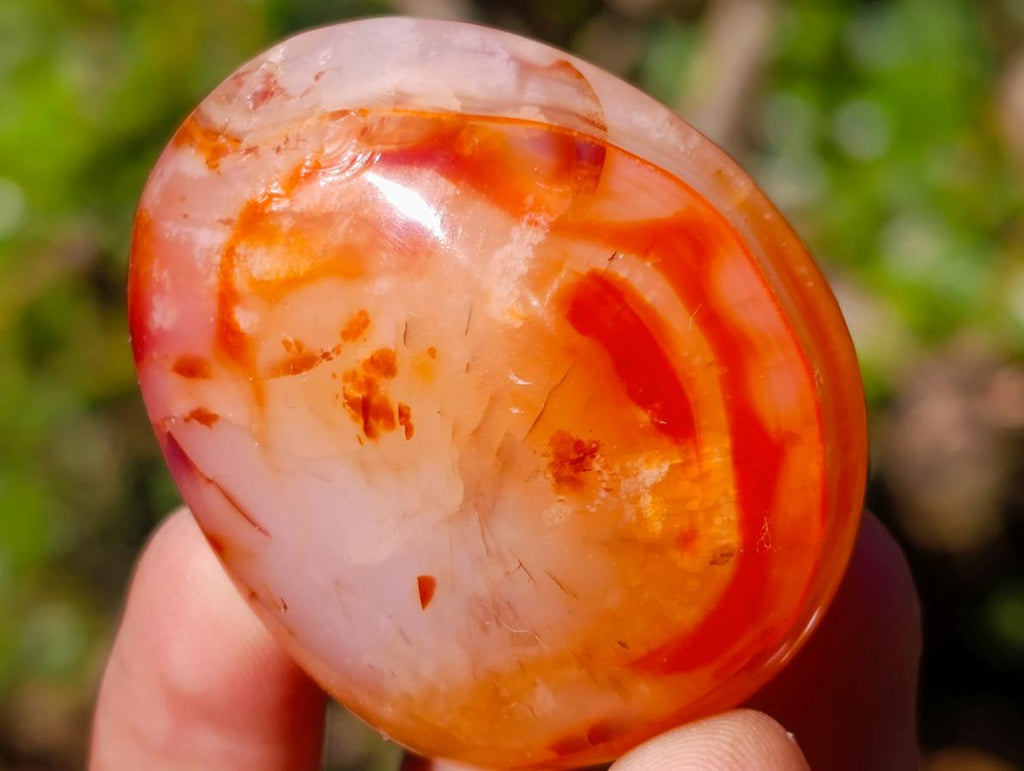 Polished Carnelian Agate Gemstone Galets x 20 From Madagascar - Toprock Gemstones and Minerals 