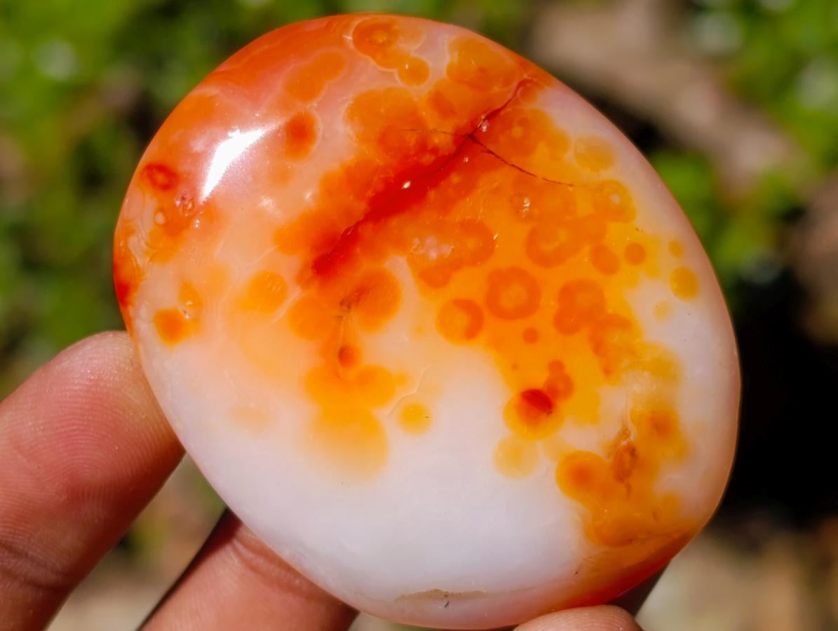 Polished Carnelian Agate Gemstone Galets x 20 From Madagascar - Toprock Gemstones and Minerals 