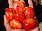 Polished Carnelian Agate Gemstone Galets x 20 From Madagascar - Toprock Gemstones and Minerals 