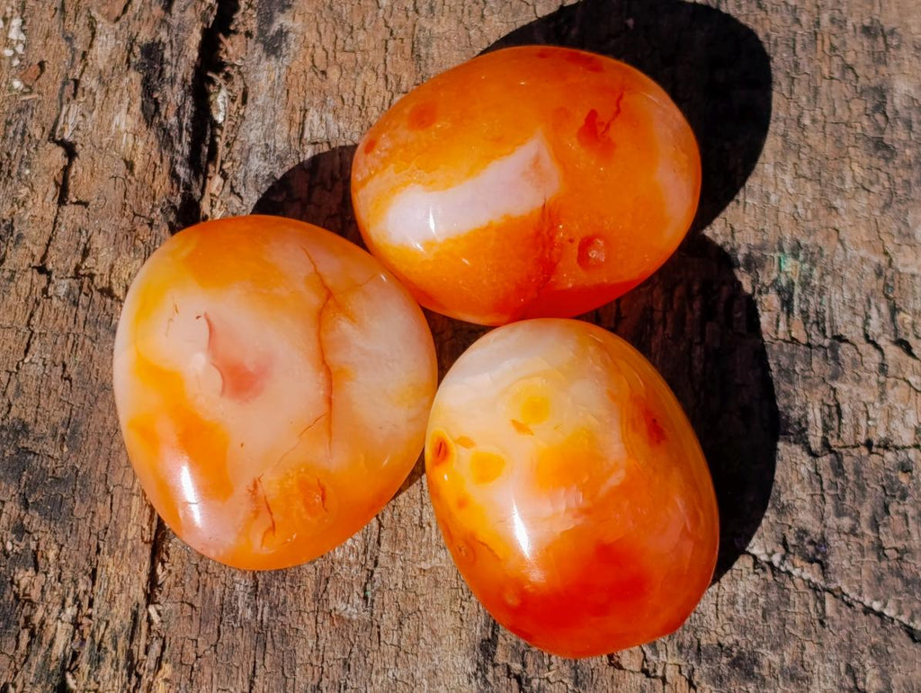 Polished Carnelian Agate Gemstone Galets x 20 From Madagascar - Toprock Gemstones and Minerals 