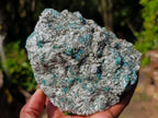 Natural Emerald Mica 'Mutokolite' Cobbed Specimens x 2 From Mutoko, Zimbabwe - Toprock Gemstones and Minerals 