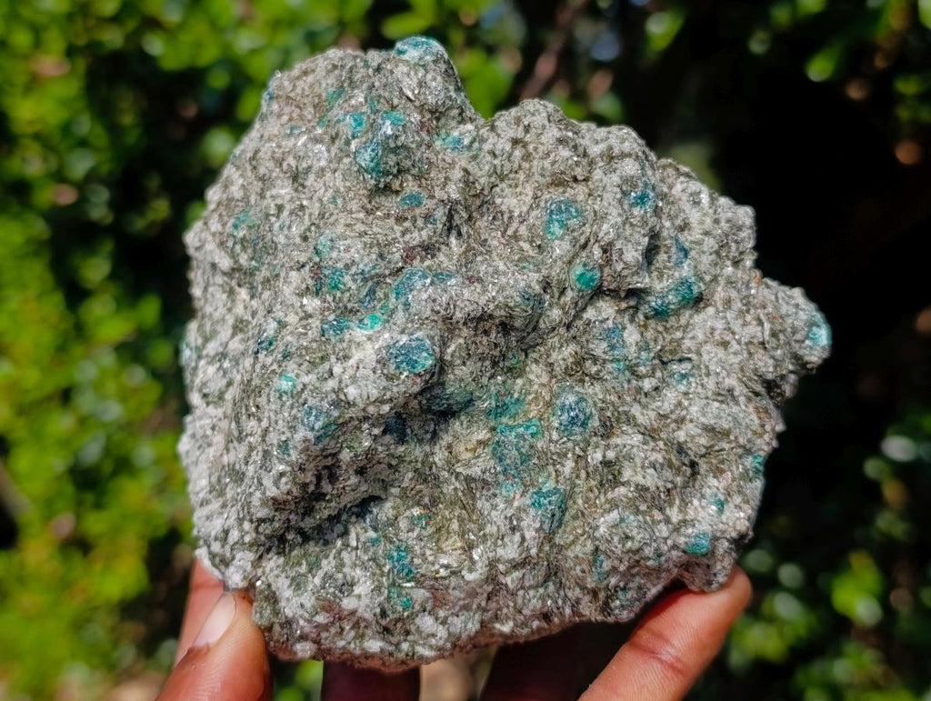 Natural Emerald Mica 'Mutokolite' Cobbed Specimens x 2 From Mutoko, Zimbabwe - Toprock Gemstones and Minerals 