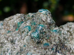 Natural Emerald Mica 'Mutokolite' Cobbed Specimens x 2 From Mutoko, Zimbabwe - Toprock Gemstones and Minerals 