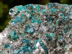 Natural Emerald Mica 'Mutokolite' Cobbed Specimens x 2 From Mutoko, Zimbabwe - Toprock Gemstones and Minerals 