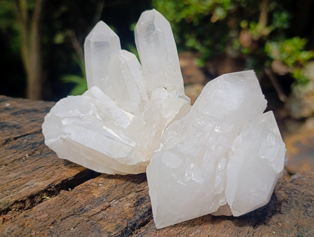 Natural Multi-Terminated Quartz Crystals x 6 From Madagascar - Toprock Gemstones and Minerals 