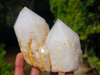Natural Multi-Terminated Quartz Crystals x 6 From Madagascar - Toprock Gemstones and Minerals 