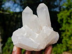 Natural Multi-Terminated Quartz Crystals x 6 From Madagascar - Toprock Gemstones and Minerals 
