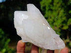 Natural Multi-Terminated Quartz Crystals x 6 From Madagascar - Toprock Gemstones and Minerals 