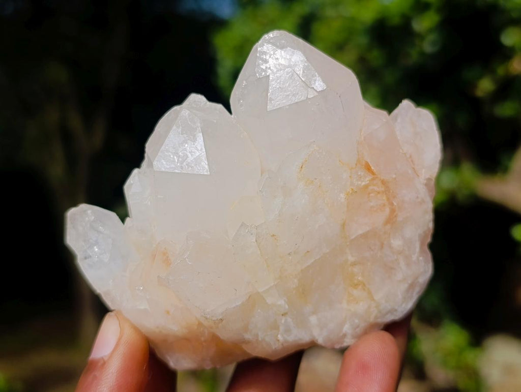 Natural Multi-Terminated Quartz Crystals x 6 From Madagascar - Toprock Gemstones and Minerals 