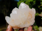 Natural Multi-Terminated Quartz Crystals x 6 From Madagascar - Toprock Gemstones and Minerals 