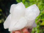 Natural Multi-Terminated Quartz Crystals x 6 From Madagascar - Toprock Gemstones and Minerals 