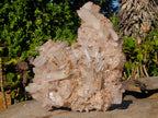 Natural XL Malagasy Quartz Cluster x 1 From Ambatofinandrahana, Madagascar - Toprock Gemstones and Minerals 