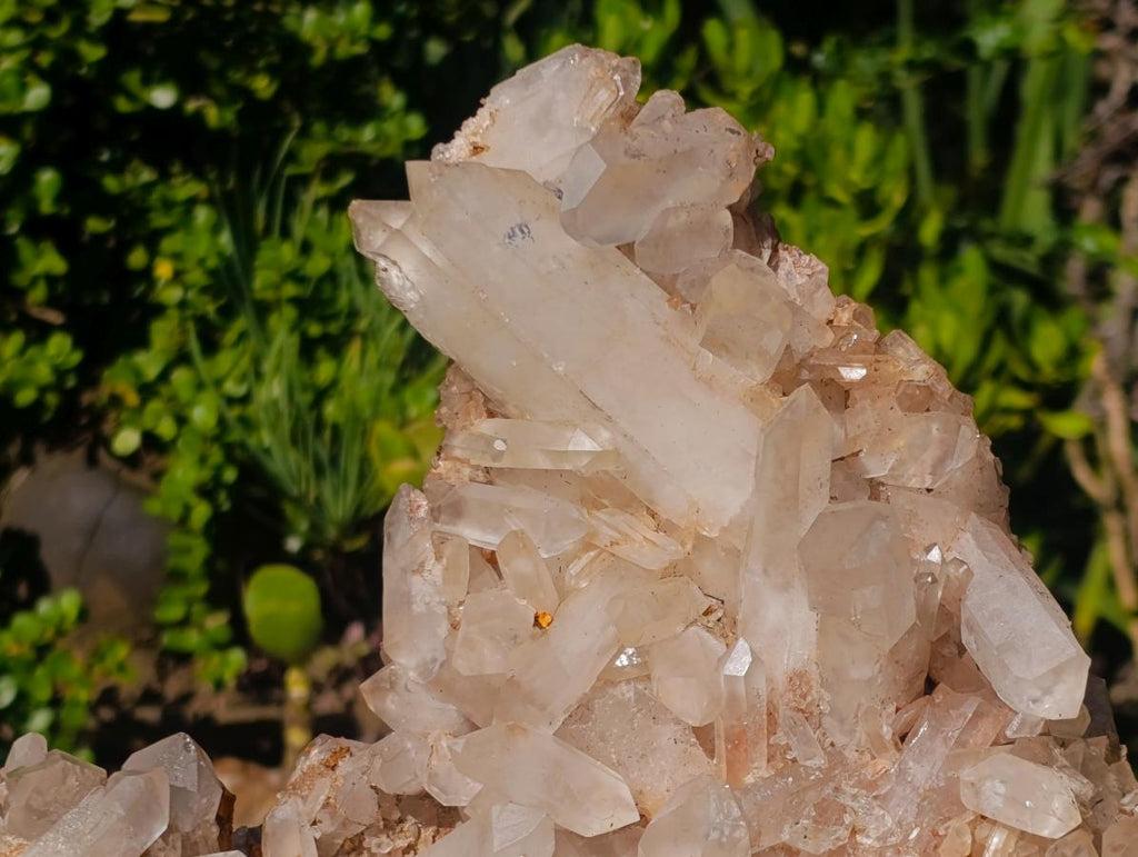 Natural XL Malagasy Quartz Cluster x 1 From Ambatofinandrahana, Madagascar - Toprock Gemstones and Minerals 