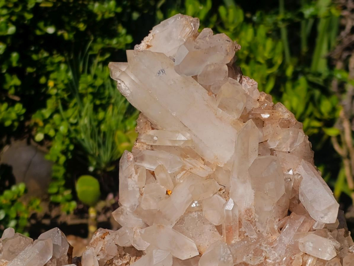 Natural XL Malagasy Quartz Cluster x 1 From Ambatofinandrahana, Madagascar - Toprock Gemstones and Minerals 