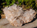 Natural XL Malagasy Quartz Cluster x 1 From Ambatofinandrahana, Madagascar - Toprock Gemstones and Minerals 