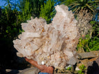 Natural XL Malagasy Quartz Cluster x 1 From Ambatofinandrahana, Madagascar - Toprock Gemstones and Minerals 