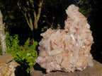 Natural XL Malagasy Quartz Cluster x 1 From Ambatofinandrahana, Madagascar - Toprock Gemstones and Minerals 