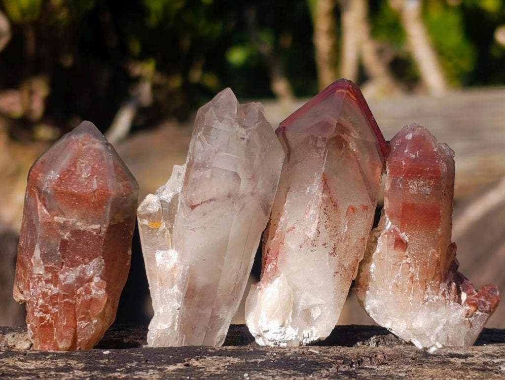 Natural Red Hematoid Quartz Crystals x 35 From Karoi, Zimbabwe - Toprock Gemstones and Minerals 