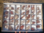 Natural Red Hematoid Quartz Crystals x 35 From Karoi, Zimbabwe - Toprock Gemstones and Minerals 