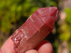 Natural Red Hematoid Quartz Crystals x 35 From Karoi, Zimbabwe - Toprock Gemstones and Minerals 