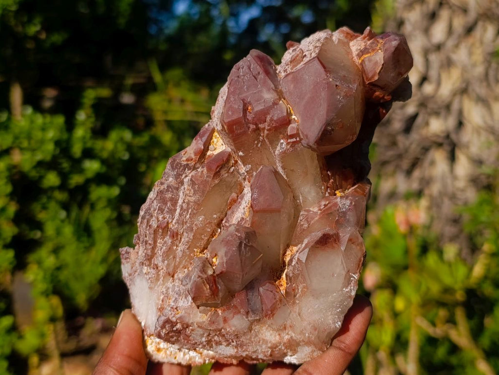 Natural Red Hematoid Quartz Clusters x 4 From Karoi, Zimbabwe - Toprock Gemstones and Minerals 