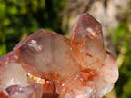 Natural Red Hematoid Quartz Clusters x 4 From Karoi, Zimbabwe - Toprock Gemstones and Minerals 
