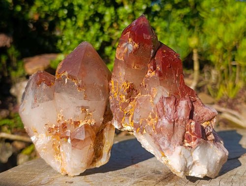 Natural Red Hematoid Quartz Clusters x 4 From Karoi, Zimbabwe - Toprock Gemstones and Minerals 