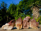 Natural Red Hematoid Quartz Clusters x 4 From Karoi, Zimbabwe - Toprock Gemstones and Minerals 