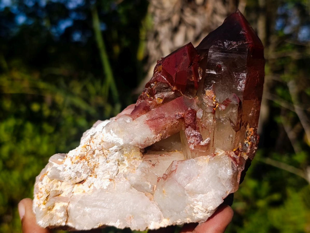 Natural Red Hematoid Quartz Clusters x 4 From Karoi, Zimbabwe - Toprock Gemstones and Minerals 