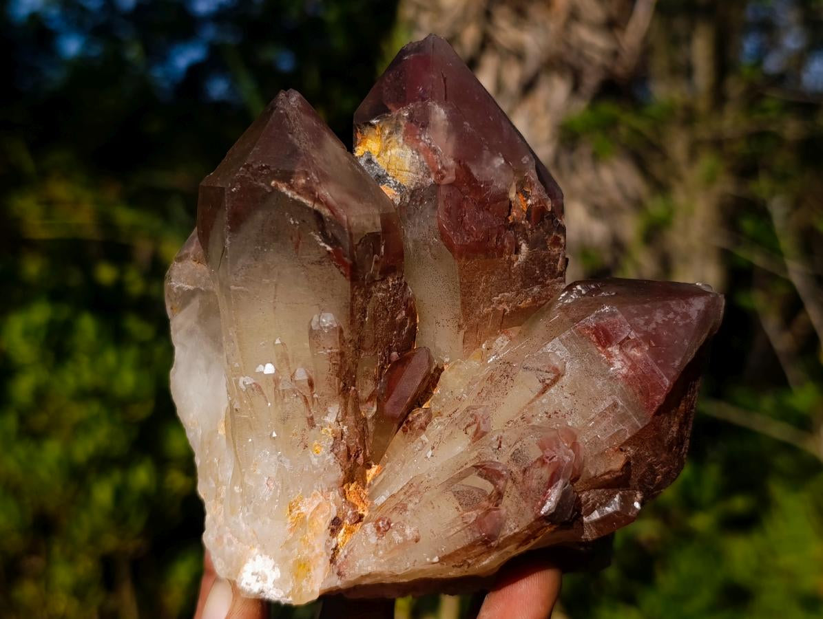 Natural Red Hematoid Quartz Clusters x 4 From Karoi, Zimbabwe - Toprock Gemstones and Minerals 