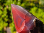 Polished Strawberry Agate Display Crystal Points x 3 From Mozambique - Toprock Gemstones and Minerals 