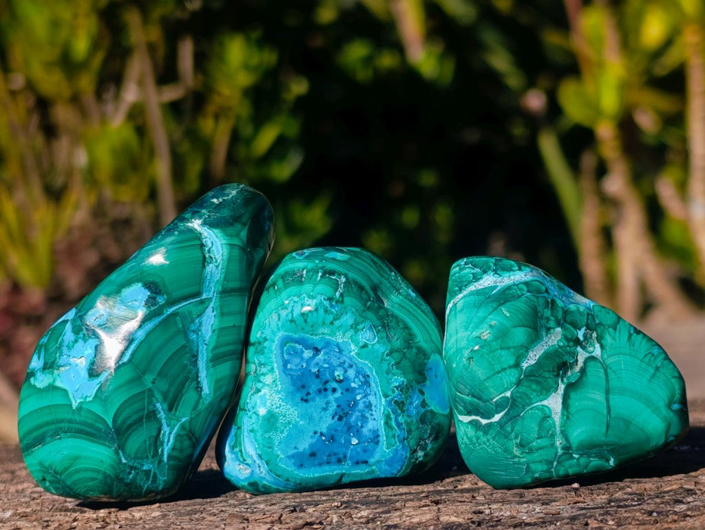 Polished Malacolla Free Forms x 12 From Kulukuluku, Congo - Toprock Gemstones and Minerals 