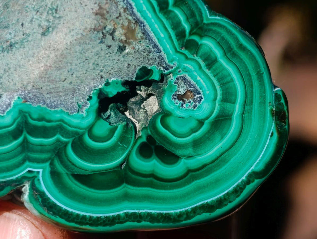 Polished Malacolla Free Forms x 12 From Kulukuluku, Congo - Toprock Gemstones and Minerals 