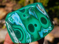 Polished Malacolla Free Forms x 12 From Kulukuluku, Congo - Toprock Gemstones and Minerals 