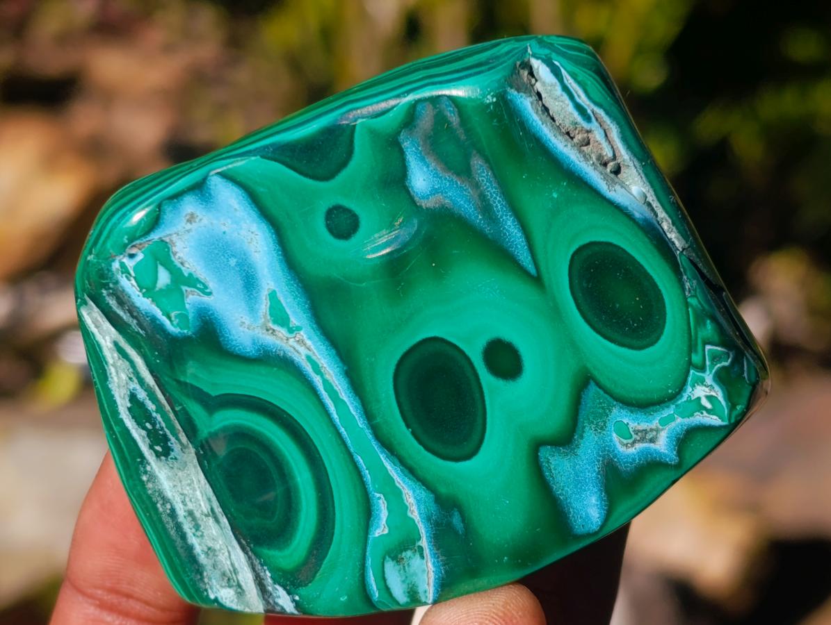 Polished Malacolla Free Forms x 12 From Kulukuluku, Congo - Toprock Gemstones and Minerals 