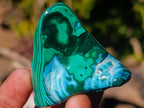 Polished Malacolla Free Forms x 12 From Kulukuluku, Congo - Toprock Gemstones and Minerals 