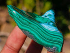 Polished Malacolla Free Forms x 12 From Kulukuluku, Congo - Toprock Gemstones and Minerals 